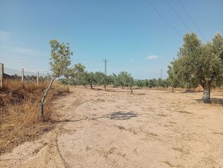 Nave industrial en venta en Calanda