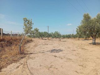Nave industrial en venta en Calanda