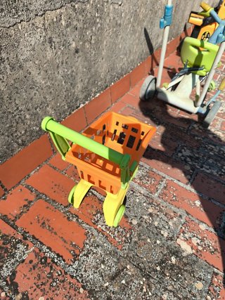 Carrito de compras infantil