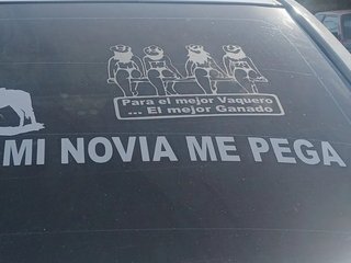 PEGATINAS PERSONALIZADAS PARA COCHES