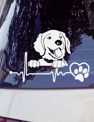 VINILOS PERSONALIZADAS PARA COCHES