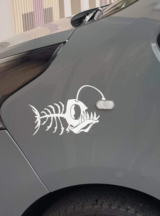 VINILOS PERSONALIZADAS PARA COCHES