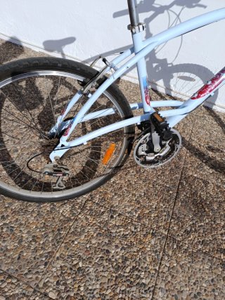 Bicicleta de montaña