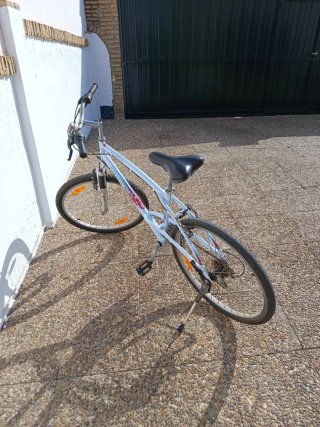 Bicicleta de montaña