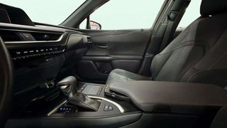 Lexus UX 5 AÑOS GARANTÍA