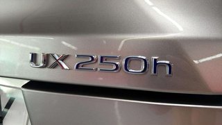 Lexus UX 5 AÑOS GARANTÍA