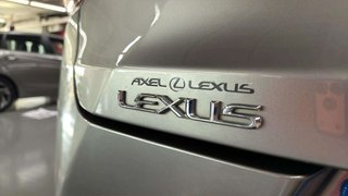 Lexus UX 5 AÑOS GARANTÍA