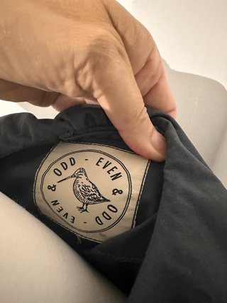 Chaqueta gabardina gris