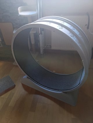 Rueda para gatos grande
