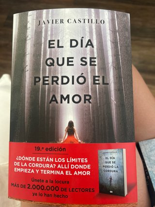 El día que se perdió el amor
