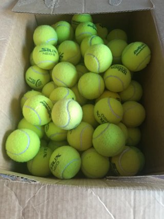 100 Bolas de Tenis Wilson