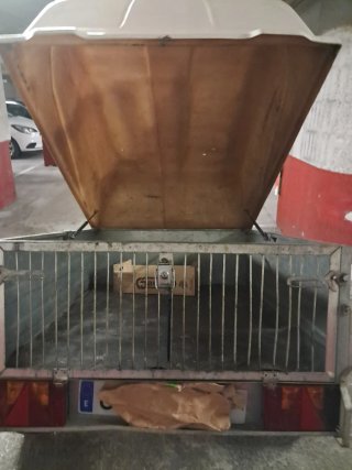 Remolque coche tapa poliéster y con basculante