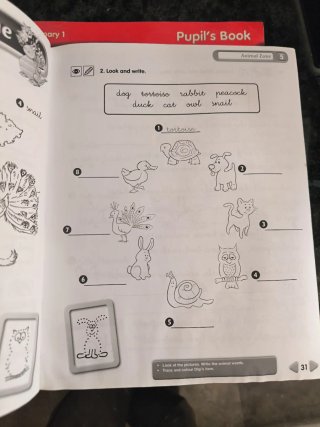 Quest Level 1 New Activity Book