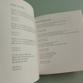 Libro. Nick Cave. Let Love In. Letras