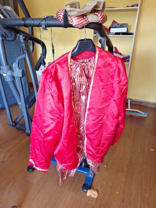 Disfraz lentejuelas chaqueta y pantalón