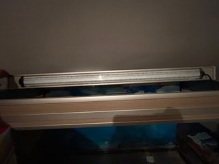 Acuario 200L con accesorios