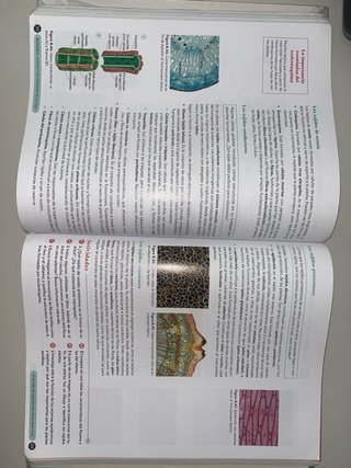 Libro Biología, Geología y CC. Ambientales 1º Bach