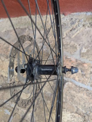 Ruota rodio in alluminio MTB 29 con disco