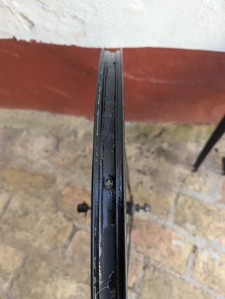 Ruota rodio in alluminio MTB 29 con disco