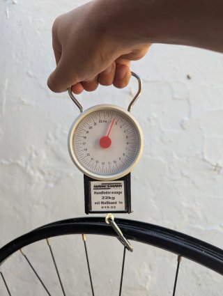 Ruota rodio in alluminio MTB 29 con disco