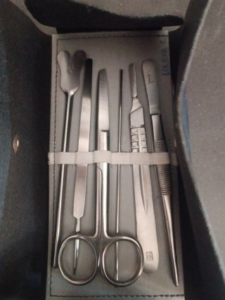 Estuche de disección