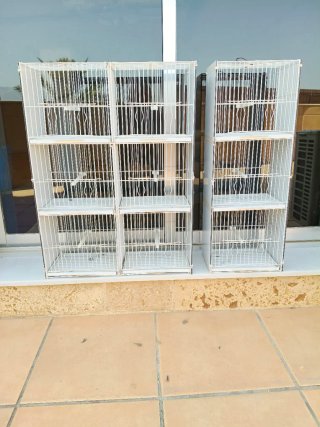 Jaulas blancas para pájaros
