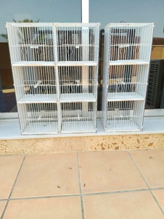 Jaulas blancas para pájaros