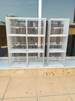 Jaulas blancas para pájaros
