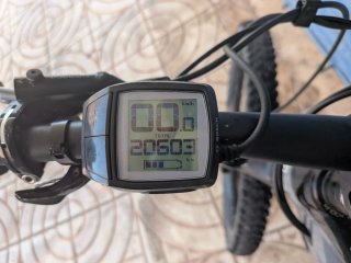 Bicicleta Eléctrica TREK Powerfly 7 2018