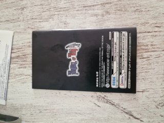 The Pinball of the Dead GBA (Japón)