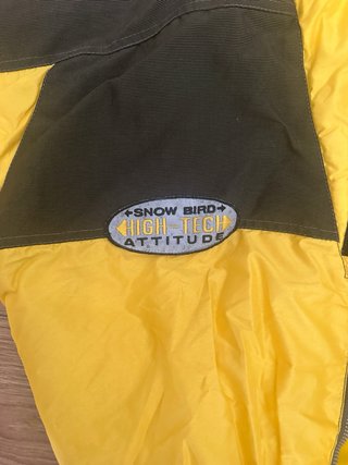 Traje de esquí amarillo y verde