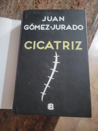 Novela:" Cicatriz"