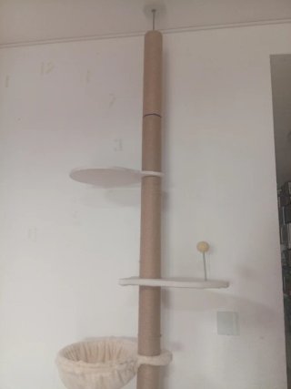 Árbol para gatos con hamaca