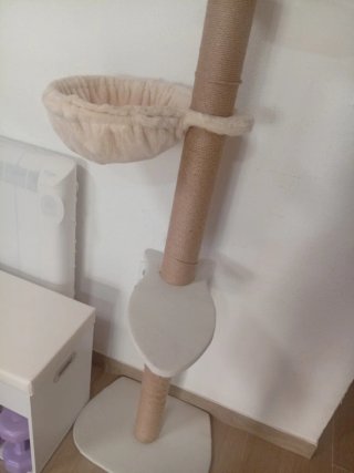 Árbol para gatos con hamaca