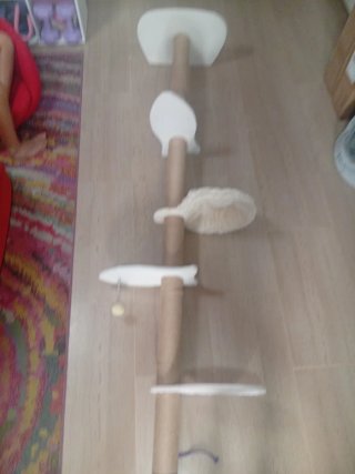 Árbol para gatos con hamaca