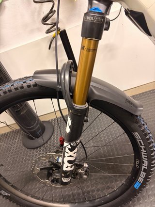 Orbea Wild Team 2026 - En Garantía