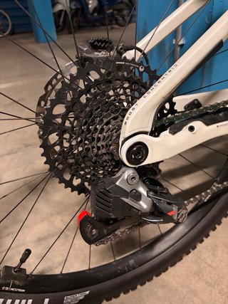 Orbea Wild Team 2026 - En Garantía