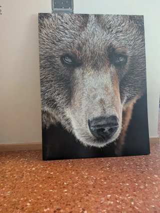 Cuadro Oso 120x90
