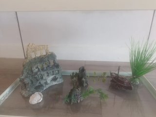 Acuario con decoraciones