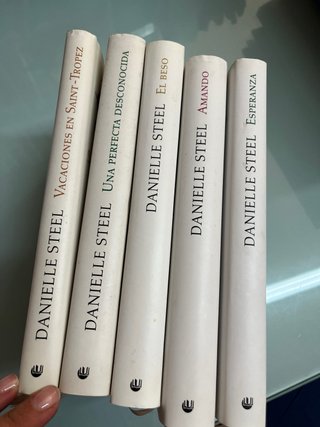 Pack 17 libros Danielle Steel