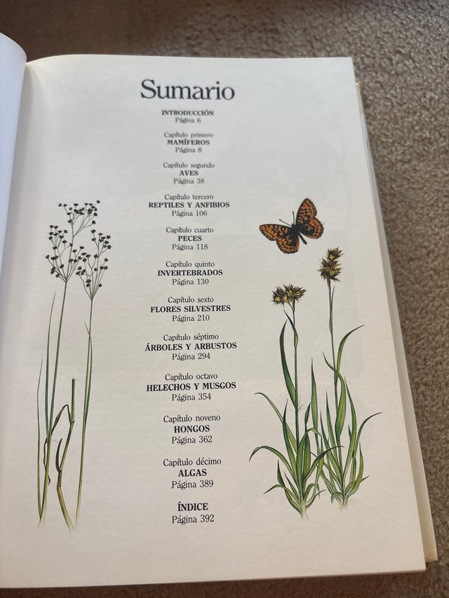 Fascinante naturaleza el gran libro de los anim...
