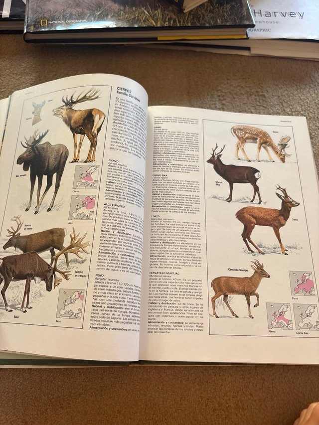 Fascinante naturaleza el gran libro de los anim...