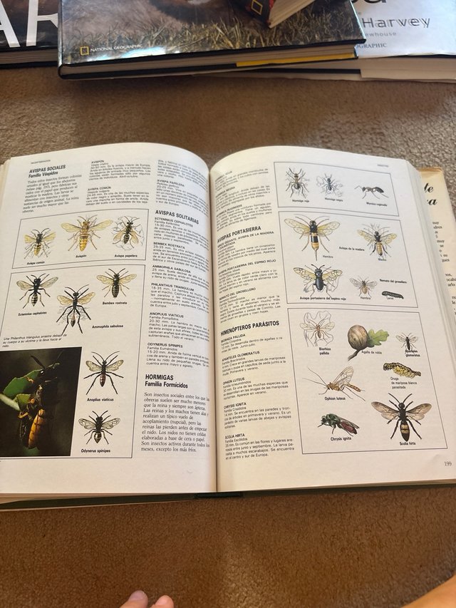 Fascinante naturaleza el gran libro de los anim...