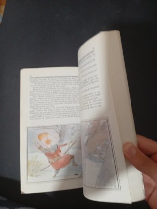 Libro Infantil Robin Hood - La Ballena Blanca