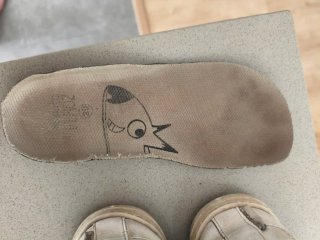 Zapatillas Feroz Talla 29 Blancas