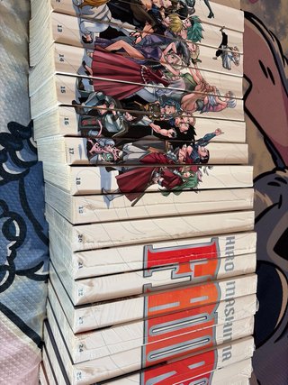 Colección completa de Fairy Tail