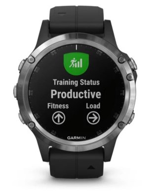 Garmin Fenix 5 Plus GPS Multisport Watch