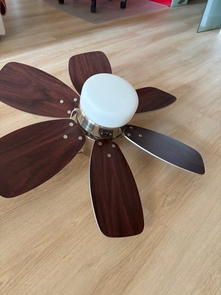 Ventilador de techo con luz. Palas reversibles.
