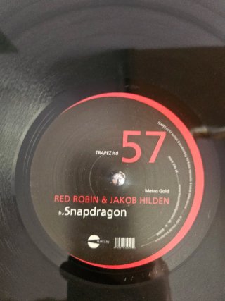 Red Robin & Jakob Hilden - Metro Gold | Trapez LTD