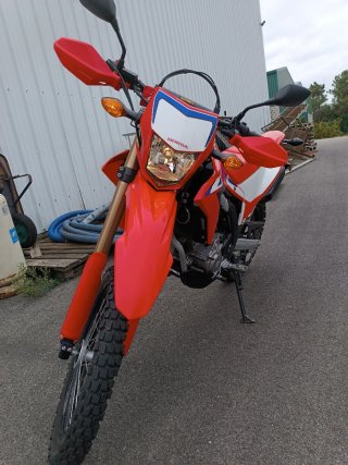 Honda CRF 300L 2024 - Solo Asfalto